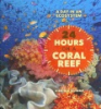 24_hours_on_a_coral_reef