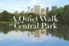 A_quiet_walk_in_Central_Park