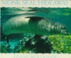 Monk_seal_hideaway