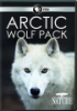 Arctic_wolf_pack
