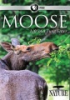 Moose__life_of_a_twig_eater