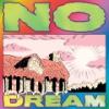 No_dream