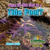 What_do_you_find_in_a_tide_pool_