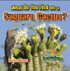 What_do_you_find_on_a_saguaro_cactus_