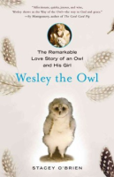 Wesley_the_owl