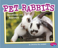 Pet_rabbits