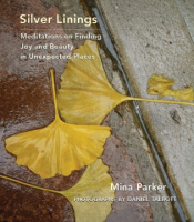 Silver_linings